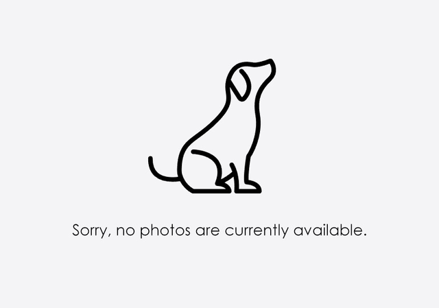 No-Image-Available