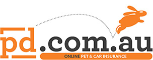 PD Insurance