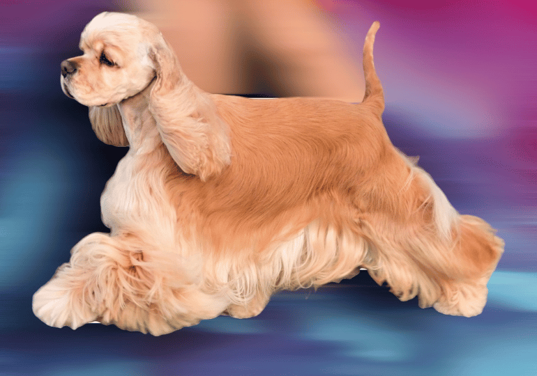 638464974200861134_0c0a3848-97a5-458b-a9db-7d9d72b3142d.png