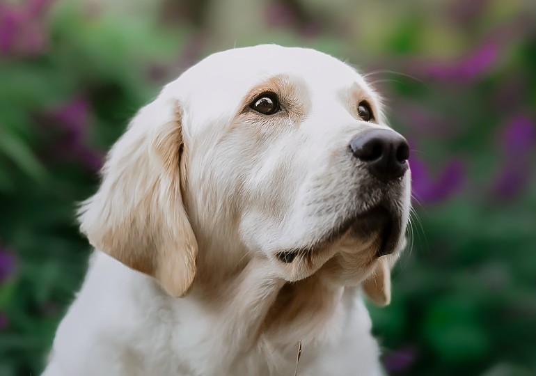 638536008191999580_5896f23e-0e07-482e-bbec-19f0c8cfde98.jpg