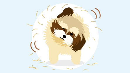 How important is low shedding to you?
